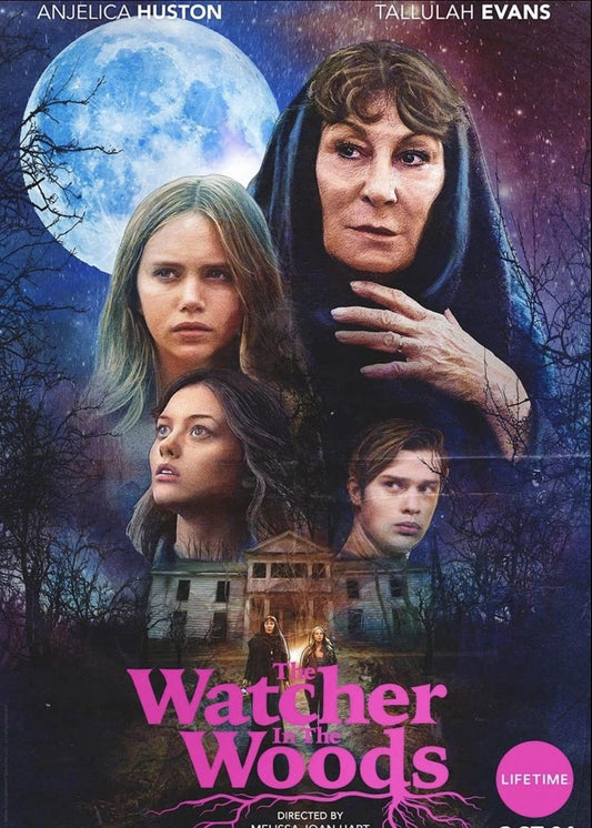 Watcher In The Woods - 2017 - Blu Ray