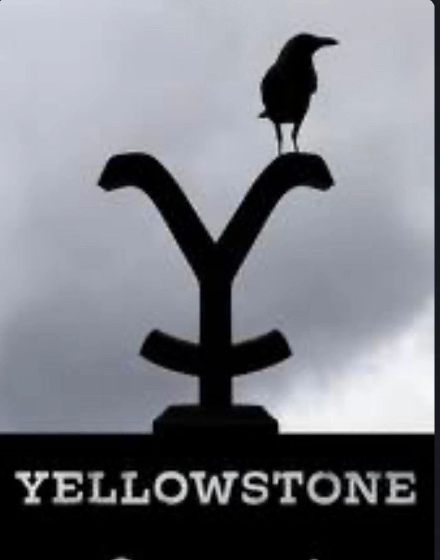 Yellowstone - Season 4 - Blu Ray