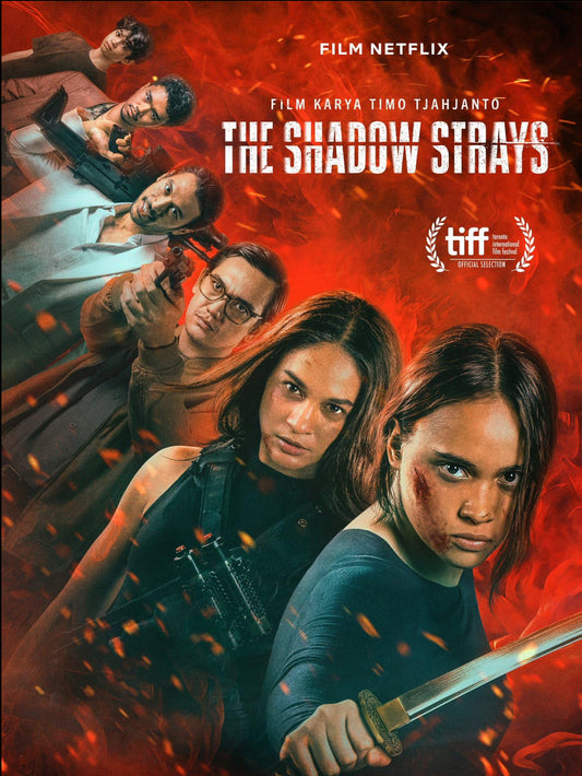 The Shadow Strays - 2024 - Blu Ray