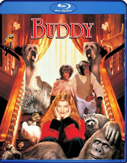 Buddy - 1997 - Blu Ray