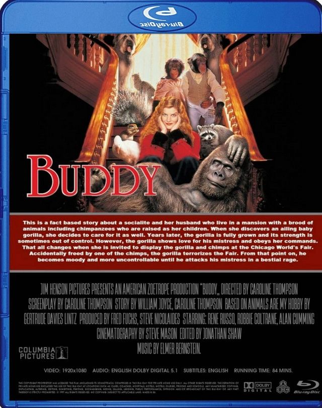 Buddy - 1997 - Blu Ray